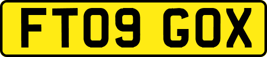 FT09GOX