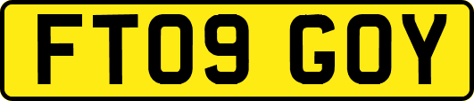 FT09GOY