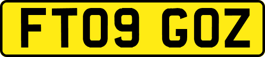 FT09GOZ