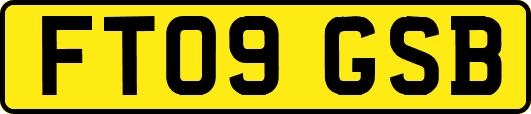 FT09GSB