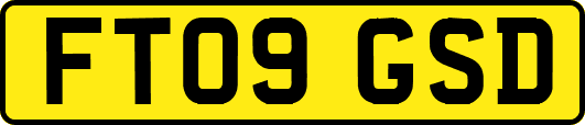 FT09GSD