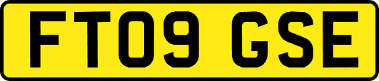 FT09GSE