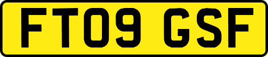 FT09GSF