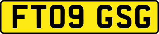 FT09GSG