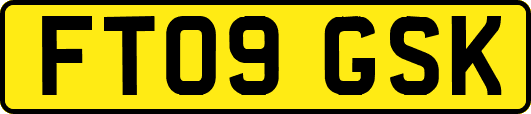 FT09GSK
