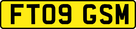 FT09GSM