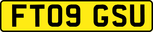 FT09GSU