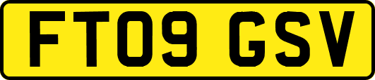 FT09GSV
