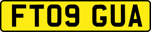 FT09GUA