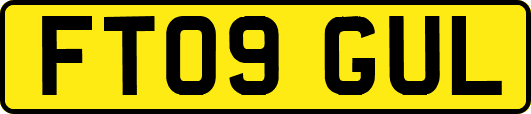 FT09GUL
