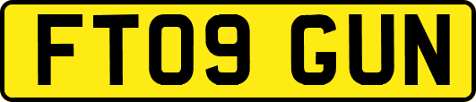 FT09GUN