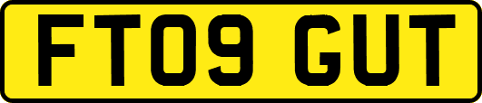 FT09GUT
