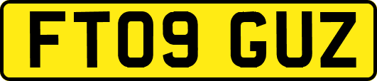 FT09GUZ