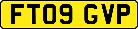 FT09GVP