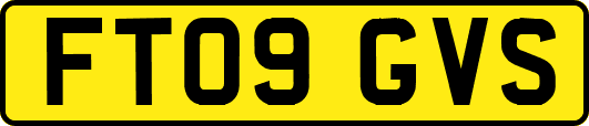 FT09GVS
