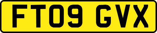 FT09GVX