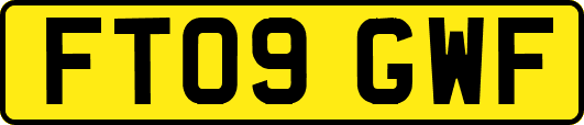 FT09GWF