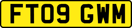 FT09GWM
