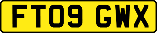 FT09GWX