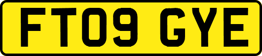 FT09GYE