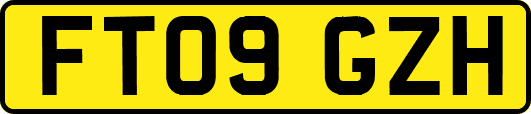 FT09GZH