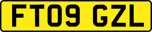 FT09GZL