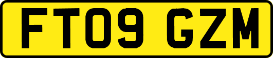FT09GZM