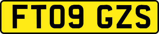 FT09GZS
