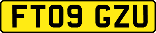 FT09GZU