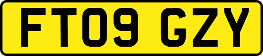 FT09GZY