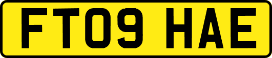 FT09HAE
