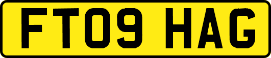 FT09HAG