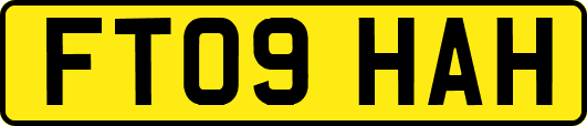 FT09HAH