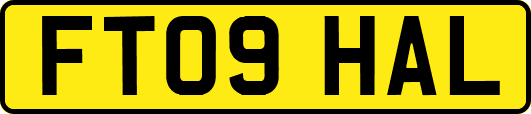 FT09HAL