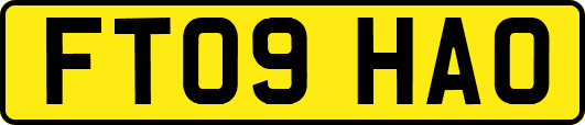 FT09HAO
