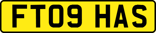 FT09HAS