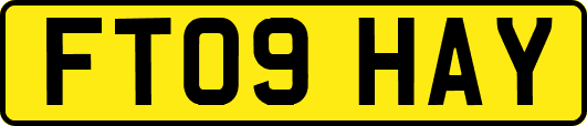 FT09HAY