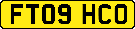 FT09HCO