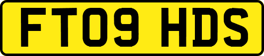 FT09HDS