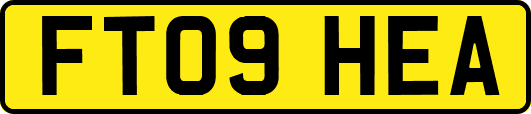 FT09HEA