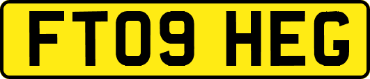 FT09HEG