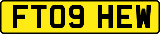 FT09HEW