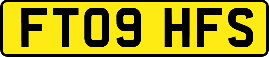 FT09HFS