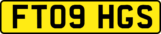 FT09HGS