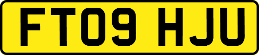 FT09HJU