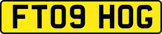 FT09HOG