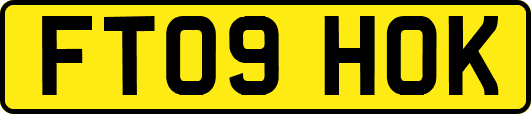 FT09HOK