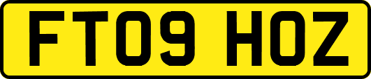 FT09HOZ