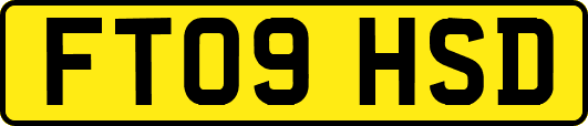 FT09HSD