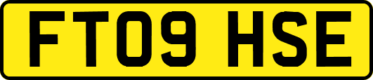 FT09HSE